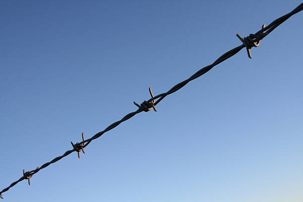 Barbed wire stock photo
