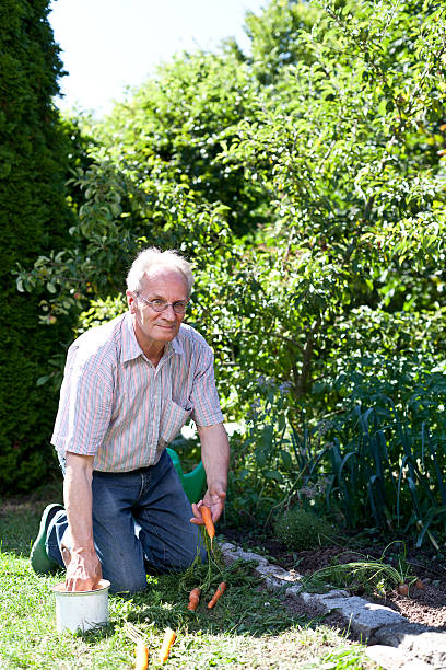 istock Old man being proud of his harvest 181852496