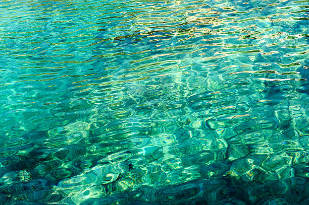 istock close-up of green water 181852593