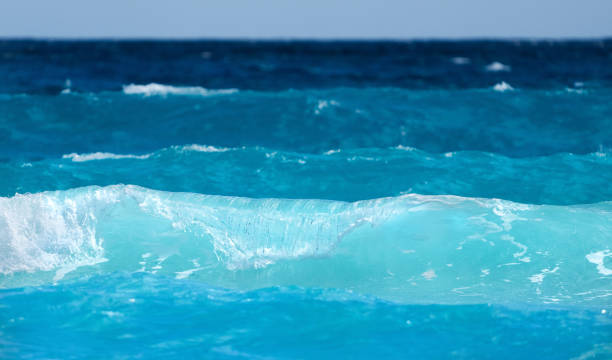 istock Cancun beach with white sands and blue water. 1818532090