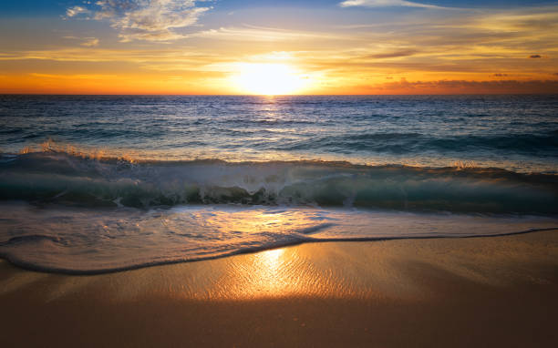 istock Cancun beach with white sands and blue water. 1818532666