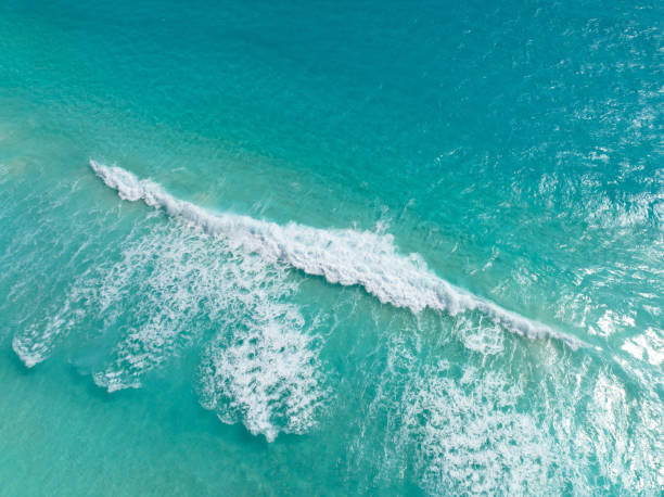 istock Cancun beach with white sands and blue water. 1818532673