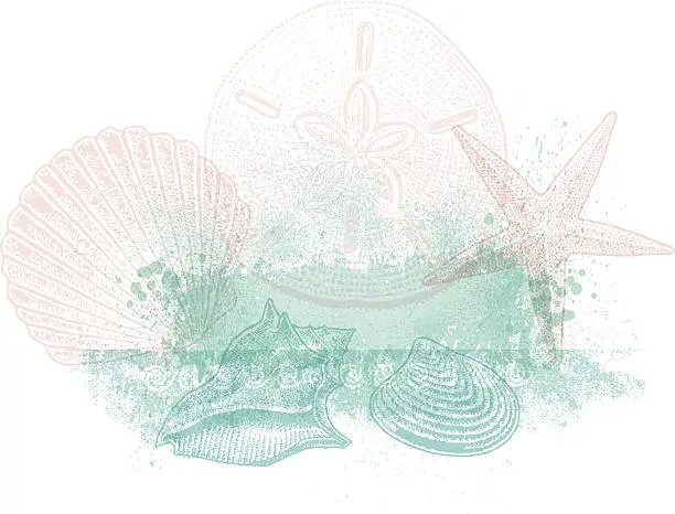 Vector illustration of Sea Shell Background Design