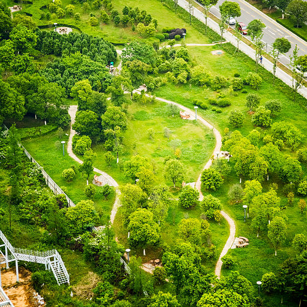 istock Miniature green garden 181854467