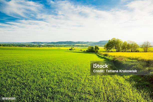 Foto de Green Campos e mais fotos de stock de Agricultura - Agricultura, Ajardinado, Amarelo