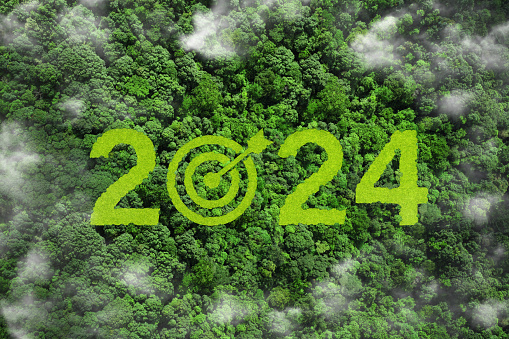 New Goals, Plans, and Visions for Next Year 2024. 2024 and target symbol on green grass in the forest.Sustainable environment development goals, analytical business planning business growth 2024, ESG