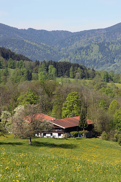 krajobraz w górna bawaria w pobliżu tegernsee - lake tegernsee zdjęcia i obrazy z banku zdjęć