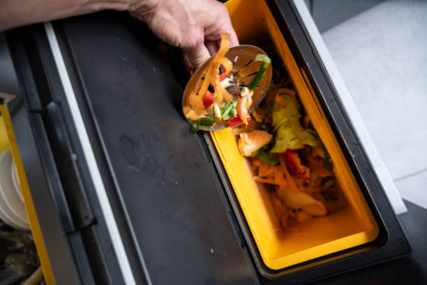istock Green waste in the sink 1818551900