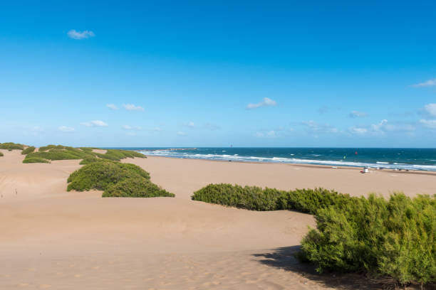 istock Panoramic view of the beach with selective focus on the dune bushes. 1818555853