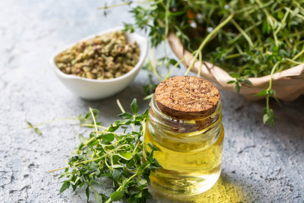 istock Green thyme and thyme oil 1818561300