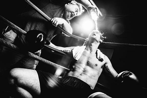 박서 (boxer) - men sweat combative sport boxing 뉴스 사진 이미지