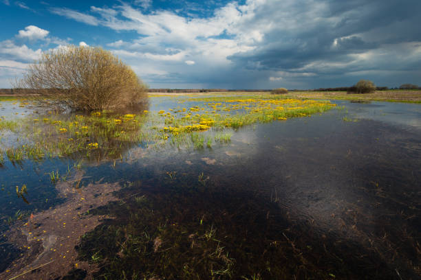 Wet areas and cloudy sky, April day, Czulczyce, Poland