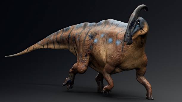 istock Parasaurolophus render of background. 3d rendering 1818571715