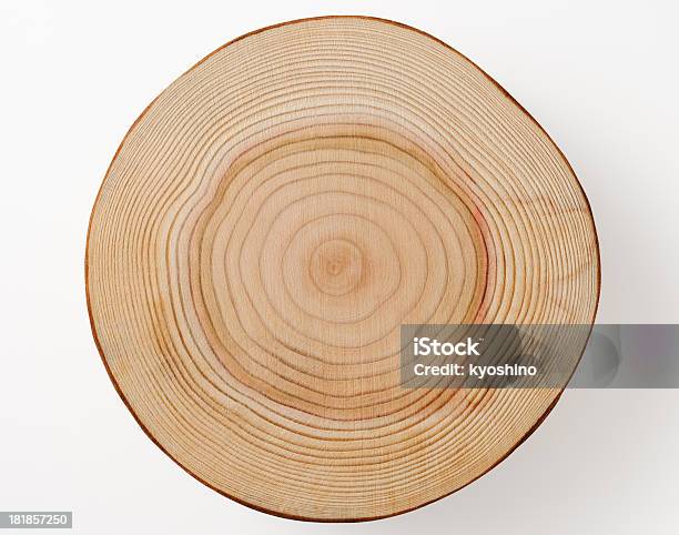絶縁ショットの断面の木の白い背景 - 年輪のストックフォトや画像を多数ご用意 - 年輪, 丸太, 切り株