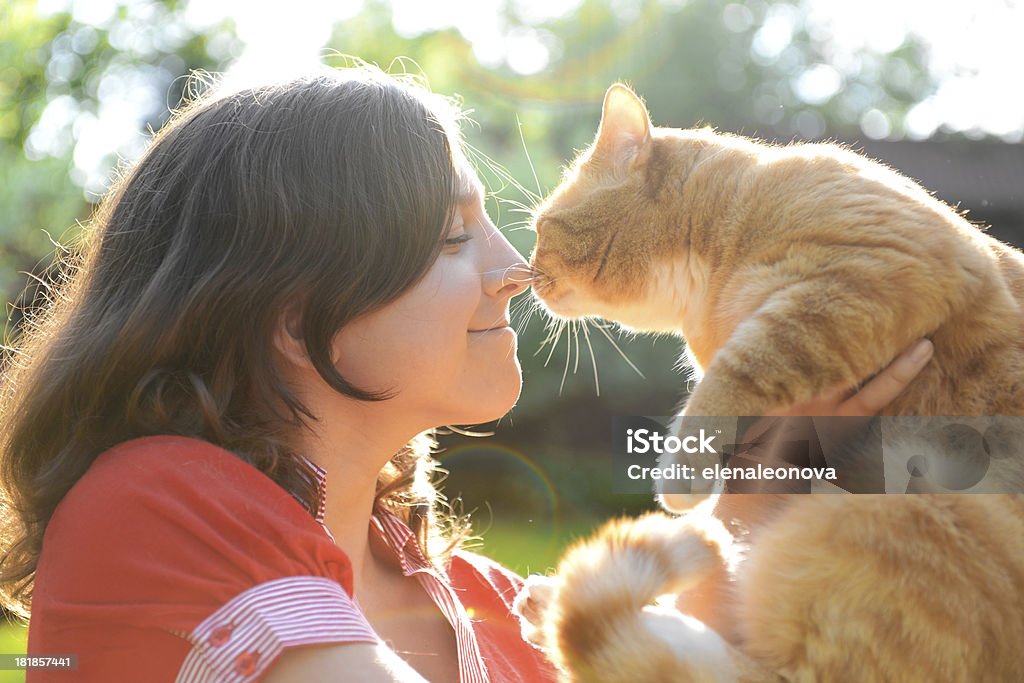 Menina com Gato - Royalty-free Gato domesticado Foto de stock