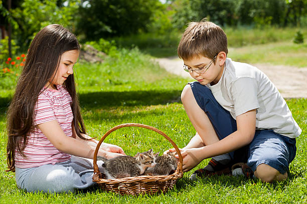 istock Happy children with a little cat 181857543