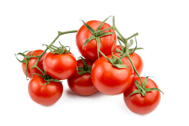 istock Fresh organic red tomatoes on the white background 1818576599