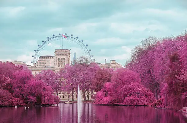 London in Pink: Simulated color infrared film. London Eye view from St James Park.