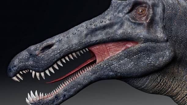 istock Suchomimus Tenerensis render of background. 3d rendering 1818577136