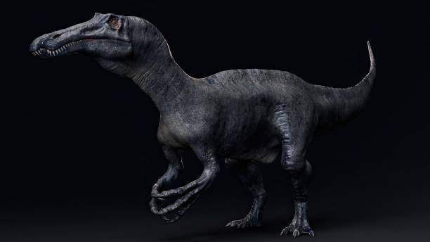 istock Suchomimus Tenerensis render of background. 3d rendering 1818577139