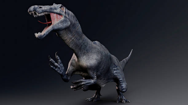 istock Suchomimus Tenerensis render of background. 3d rendering 1818577657