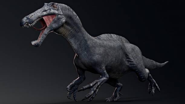 istock Suchomimus Tenerensis render of background. 3d rendering 1818577687