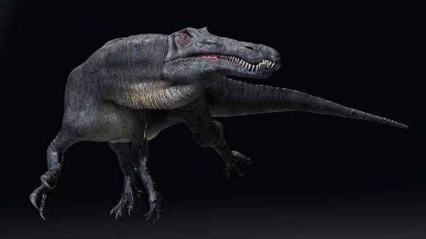 istock Suchomimus Tenerensis render of background. 3d rendering 1818577689