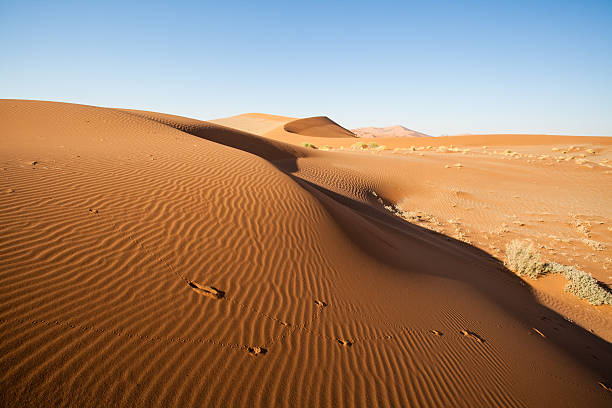 istock Dunes in namib desert 181857998