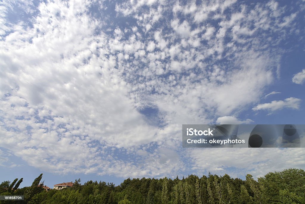 Céu e plantas - Royalty-free Acima Foto de stock