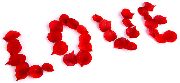 istock Quince love petals 181858937