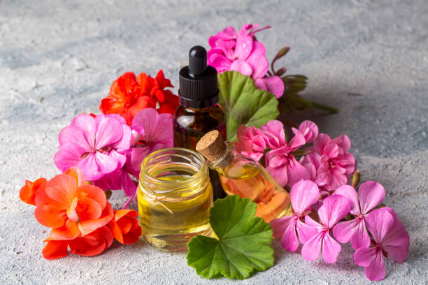 istock Geranium flower and geranium oil 1818589948