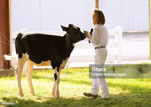 Mostrar Em Uma Feira De - Fotografias de stock e mais imagens de Façanha - Façanha, Gado Holstein-Friesian, Exposição