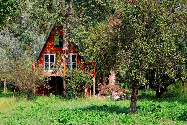 istock Isolated house with a slanted roof in a forest, partially hidden by tree crown 1818596331