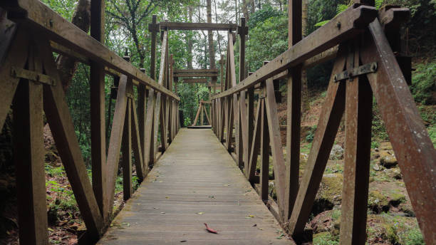 istock old wooden bridge in deep forest, natural vintage background 1818596874