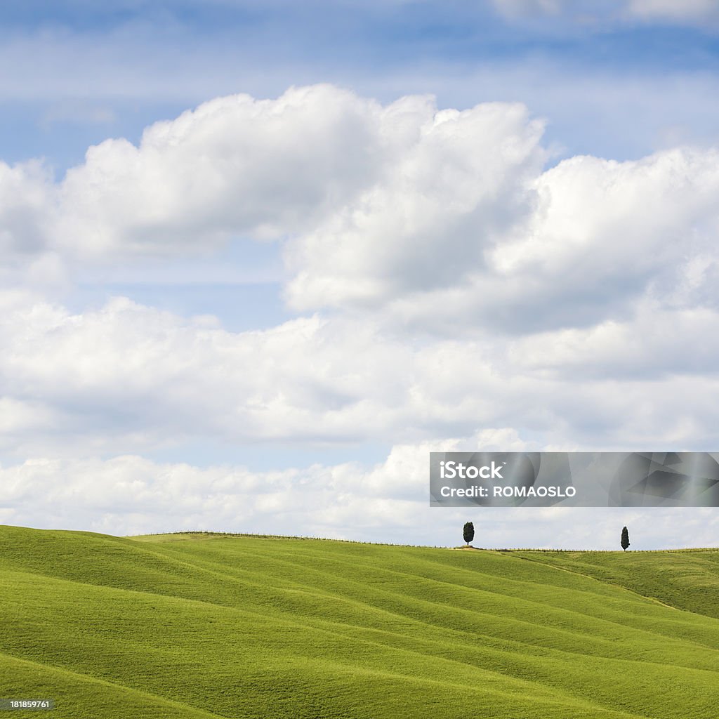 Campo e Panorama di nuvole in Val d'Orcia, Toscana, Italia - Foto stock royalty-free di Agricoltura