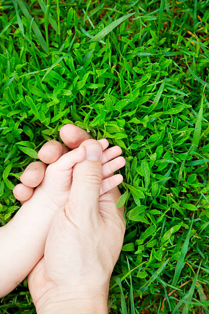 istock Father and Child Holding Hands 181860066