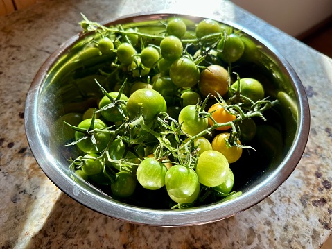 Bowl of Green Cherry Tomatoes