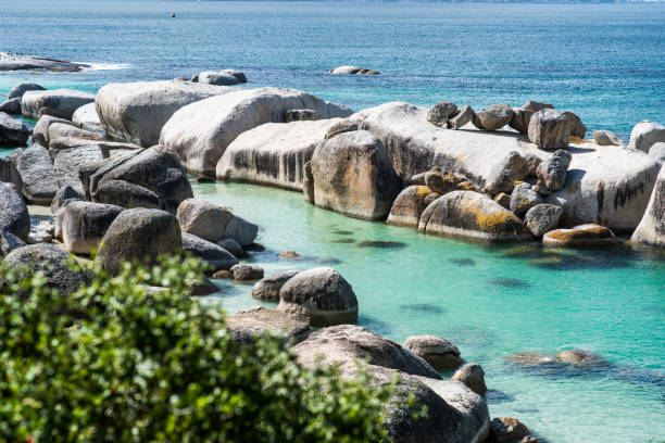 Boulders Beach Cape Town