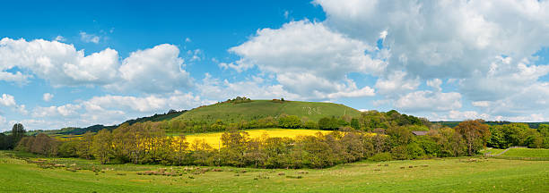 Cerne Abbas Giant, Dorset, UK "Panoramic view towards the famous hill figure of the rude Giant of Cerne Abbas, Dorset, UK. Image taken on a sunny late spring afternoon.More of my images from around Britain in this lightbox:" cerne abbas giant stock pictures, royalty-free photos & images