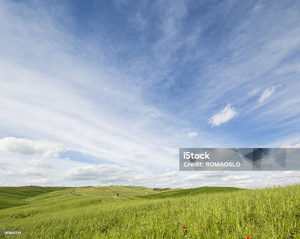 Поле и Облачный пейзаж в Валь д'Орча, Тоскана Италия - Стоковые фото Без людей роялти-фри