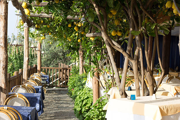 A restaurant under a lemon grove overlooking the Tyrrhenian Sea on the Amalfi Coast