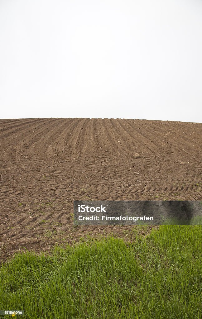 Campo arato di recente - Foto stock royalty-free di Agricoltura