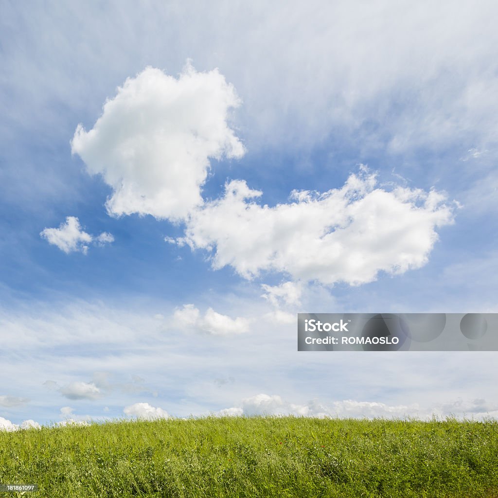 Campo e Panorama di nuvole in Val d'Orcia, Toscana, Italia - Foto stock royalty-free di Agricoltura