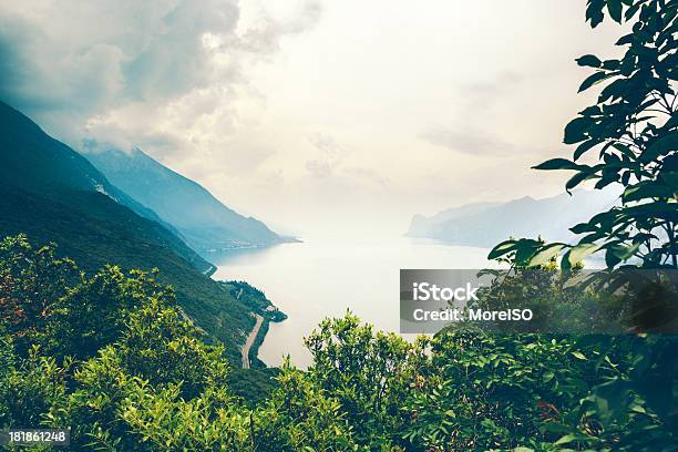 Lago Di Garda - Fotografie stock e altre immagini di Albero - Albero, Ambientazione esterna, Ambiente