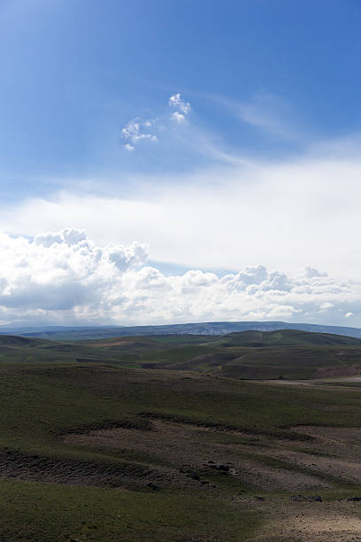 istock Green Field and unplowed area under clouds shadow 181861342