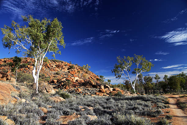 istock Area in the desert known as the ghost gums 181861777