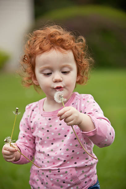 istock Little Girl Blowing Dandelion Seeds 181861879
