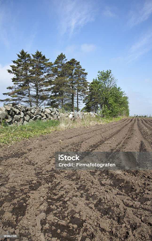 Field Newly Plowed Plowed field ready for the planting Abundance Stock Photo