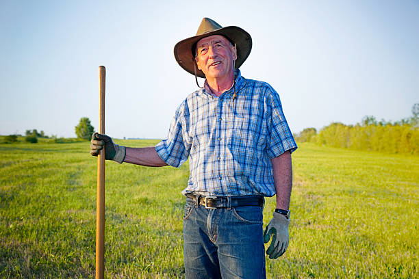 istock Senior farmer standing in front of field looking up 181862455