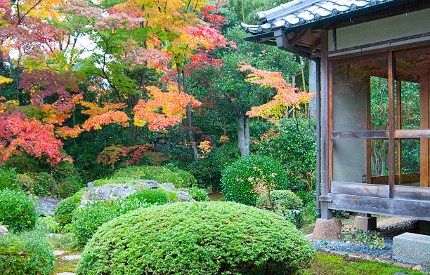 istock Autumn in Japan 181862593